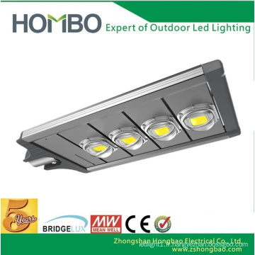 2015 conduit lampe de rue 60w 80w 90w 120w 150w 160w 180w 200w 240w 250w 300w COB ou SMD street light